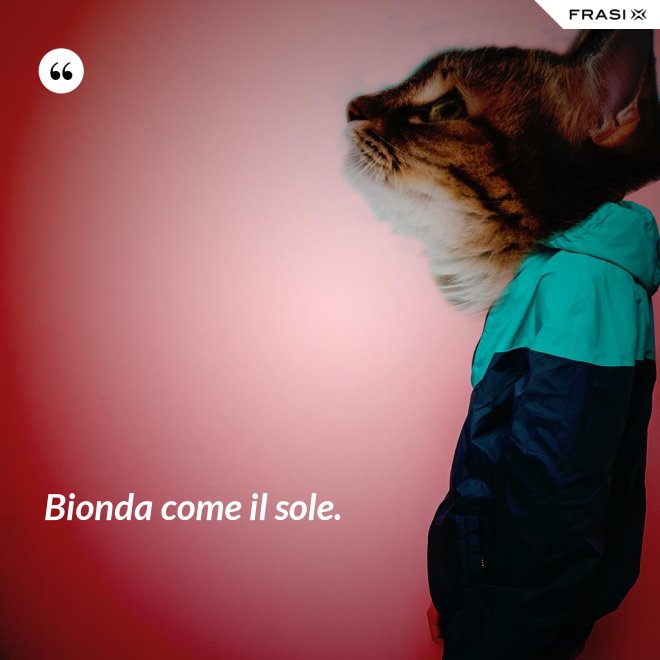Bionda come il sole. - Anonimo