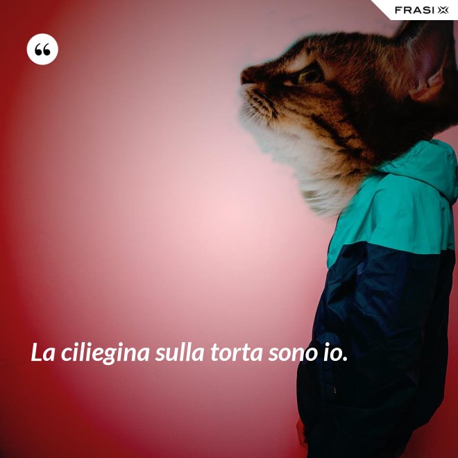 La ciliegina sulla torta sono io. - Anonimo