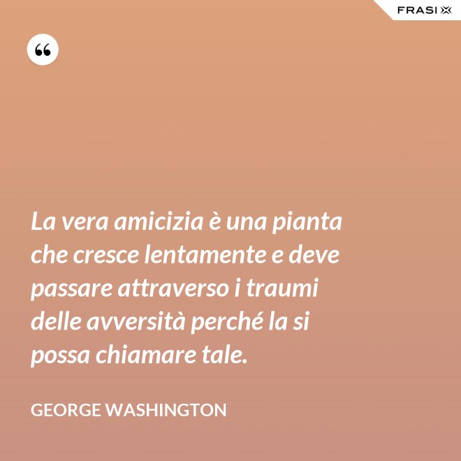 La vera amicizia è una pianta che cresce lentamente e deve passare attraverso i traumi delle avversità perché la si possa chiamare tale. - George Washington