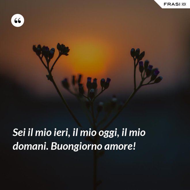 Sei il mio ieri, il mio oggi, il mio domani. Buongiorno amore! - Anonimo