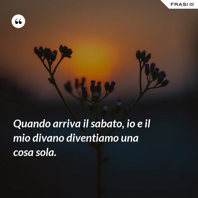 Quando arriva il sabato, io e il mio divano diventiamo una cosa sola. - Anonimo