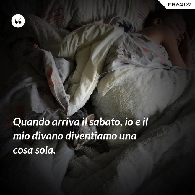 Quando arriva il sabato, io e il mio divano diventiamo una cosa sola. - Anonimo