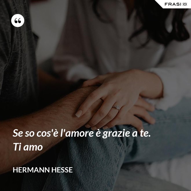 Se so cos'è l'amore è grazie a te. Ti amo - Hermann Hesse