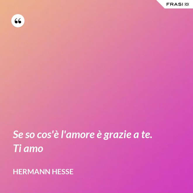 Se so cos'è l'amore è grazie a te. Ti amo - Hermann Hesse