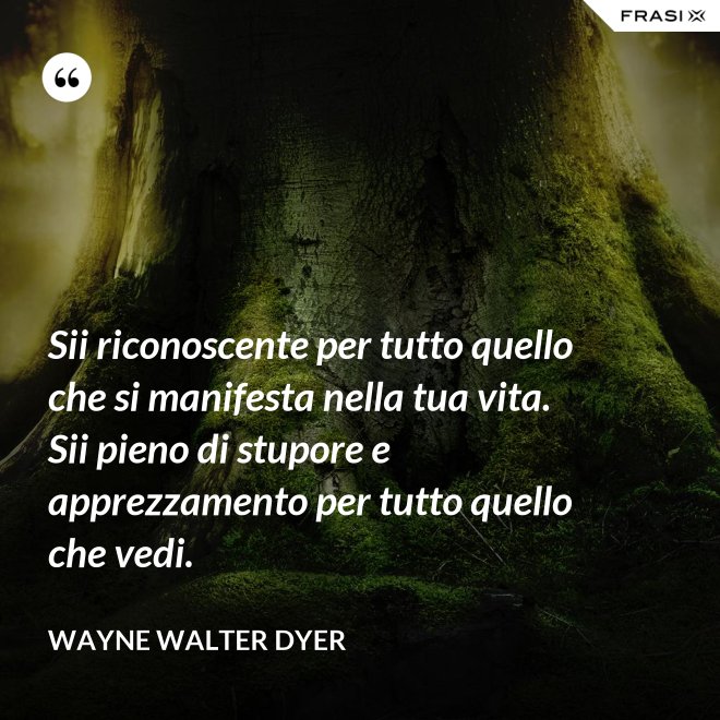 Sii riconoscente per tutto quello che si manifesta nella tua vita. Sii pieno di stupore e apprezzamento per tutto quello che vedi. - Wayne Walter Dyer