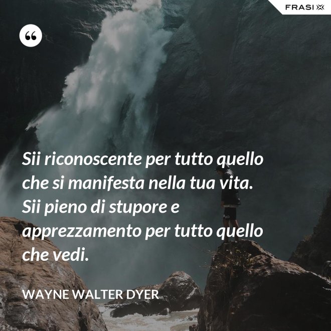 Sii riconoscente per tutto quello che si manifesta nella tua vita. Sii pieno di stupore e apprezzamento per tutto quello che vedi. - Wayne Walter Dyer