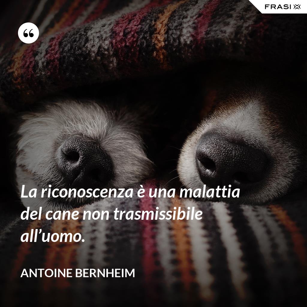La riconoscenza è una malattia del cane non trasmissibile all’uomo.