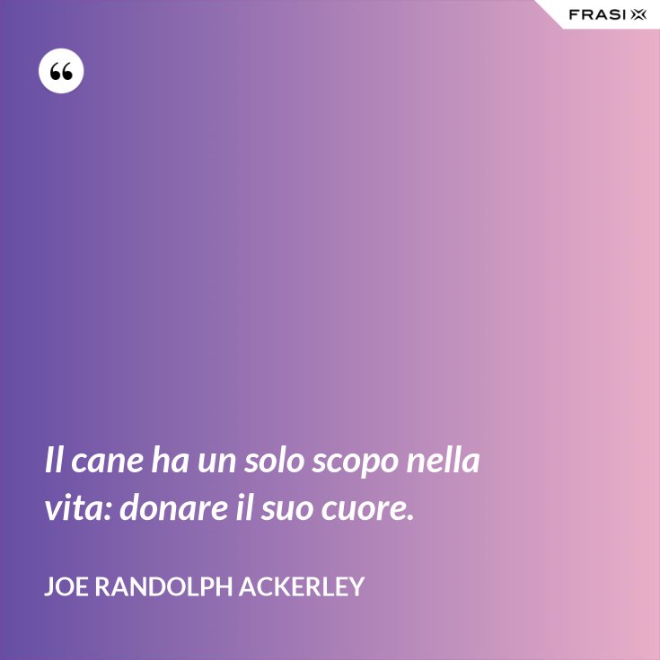 Il Cane Ha Un Solo Scopo Nella Vita Donare Il Suo Cuore