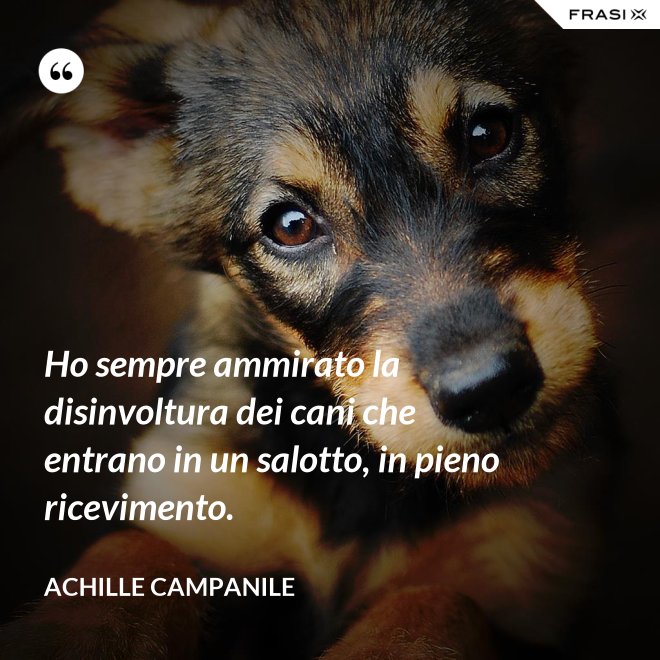 Ho sempre ammirato la disinvoltura dei cani che entrano in un salotto, in pieno ricevimento. - Achille Campanile