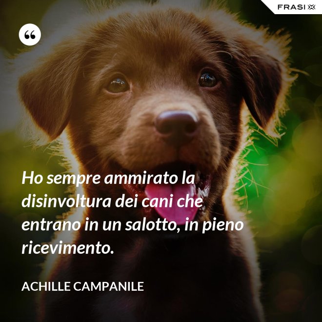 Ho sempre ammirato la disinvoltura dei cani che entrano in un salotto, in pieno ricevimento. - Achille Campanile