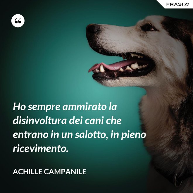 Ho sempre ammirato la disinvoltura dei cani che entrano in un salotto, in pieno ricevimento. - Achille Campanile