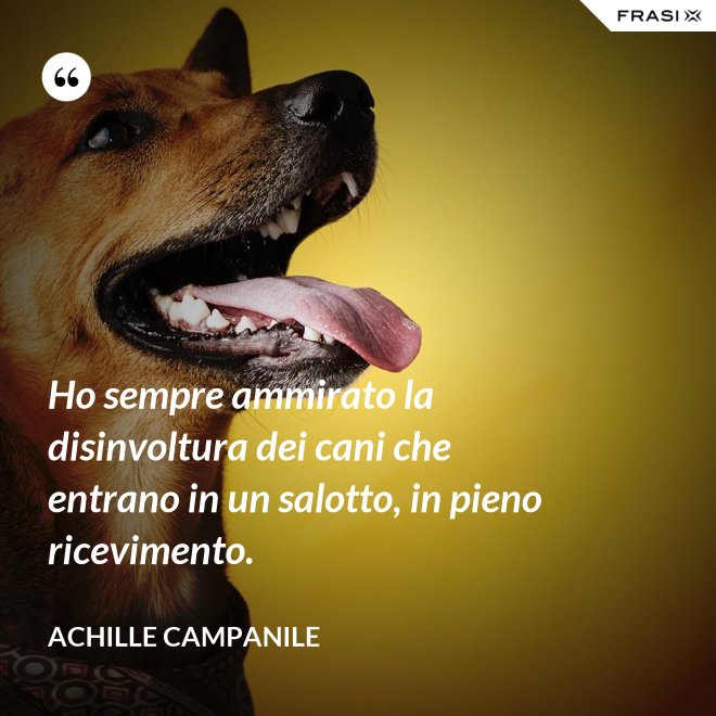 Ho sempre ammirato la disinvoltura dei cani che entrano in un salotto, in pieno ricevimento. - Achille Campanile