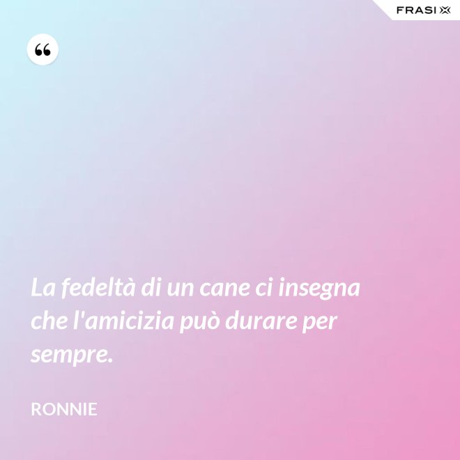La fedeltà di un cane ci insegna che l'amicizia può durare per sempre. - Ronnie