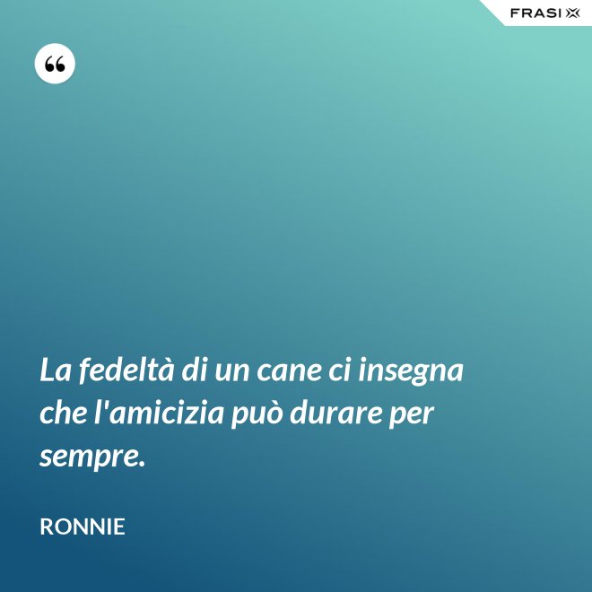 La fedeltà di un cane ci insegna che l'amicizia può durare per sempre. - Ronnie