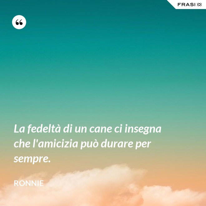 La fedeltà di un cane ci insegna che l'amicizia può durare per sempre. - Ronnie