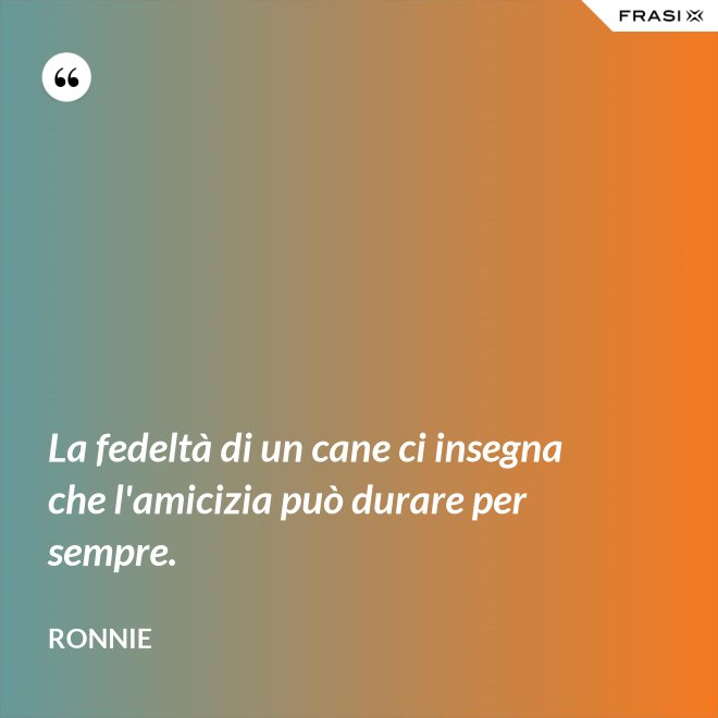 La fedeltà di un cane ci insegna che l'amicizia può durare per sempre. - Ronnie