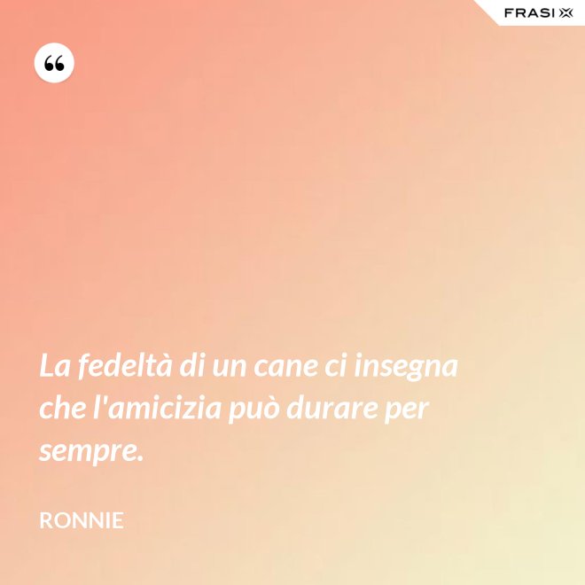 La fedeltà di un cane ci insegna che l'amicizia può durare per sempre. - Ronnie