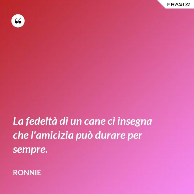 La fedeltà di un cane ci insegna che l'amicizia può durare per sempre. - Ronnie