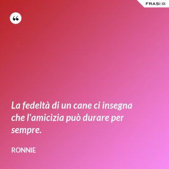 La fedeltà di un cane ci insegna che l'amicizia può durare per sempre. - Ronnie