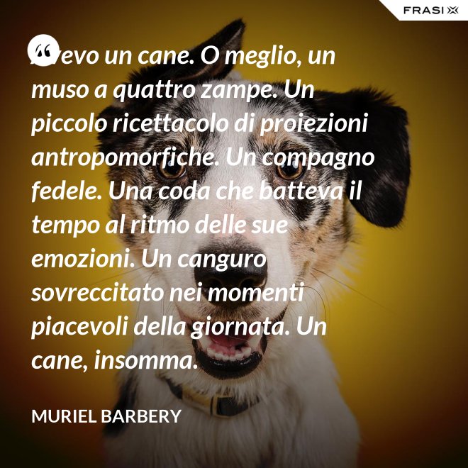Avevo un cane. O meglio, un muso a quattro zampe. Un piccolo ricettacolo di proiezioni antropomorfiche. Un compagno fedele. Una coda che batteva il tempo al ritmo delle sue emozioni. Un canguro sovreccitato nei momenti piacevoli della giornata. Un cane, insomma. - Muriel Barbery