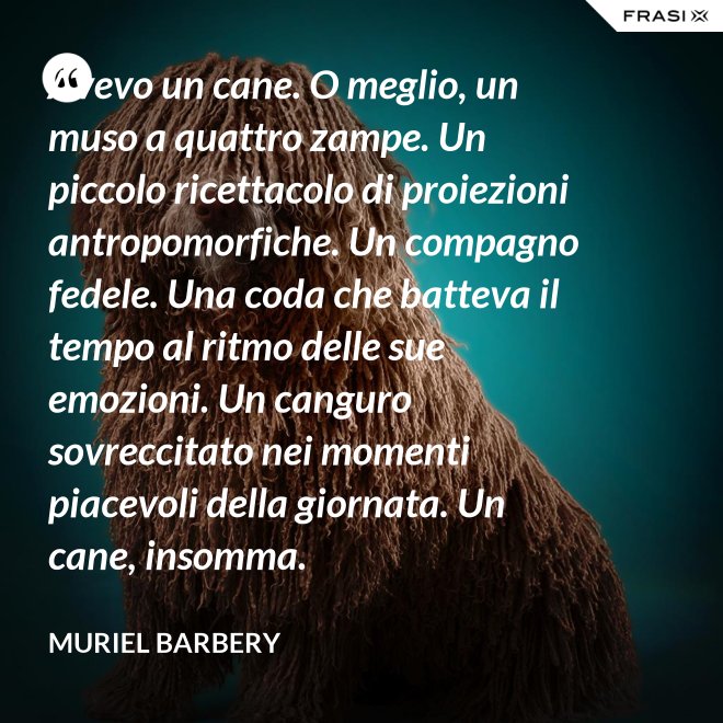 Avevo un cane. O meglio, un muso a quattro zampe. Un piccolo ricettacolo di proiezioni antropomorfiche. Un compagno fedele. Una coda che batteva il tempo al ritmo delle sue emozioni. Un canguro sovreccitato nei momenti piacevoli della giornata. Un cane, insomma. - Muriel Barbery