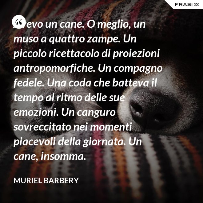 Avevo un cane. O meglio, un muso a quattro zampe. Un piccolo ricettacolo di proiezioni antropomorfiche. Un compagno fedele. Una coda che batteva il tempo al ritmo delle sue emozioni. Un canguro sovreccitato nei momenti piacevoli della giornata. Un cane, insomma. - Muriel Barbery