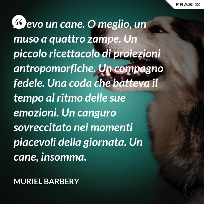 Avevo un cane. O meglio, un muso a quattro zampe. Un piccolo ricettacolo di proiezioni antropomorfiche. Un compagno fedele. Una coda che batteva il tempo al ritmo delle sue emozioni. Un canguro sovreccitato nei momenti piacevoli della giornata. Un cane, insomma. - Muriel Barbery