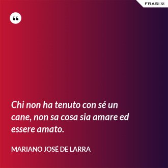 Chi non ha tenuto con sé un cane, non sa cosa sia amare ed essere amato. - Mariano José de Larra