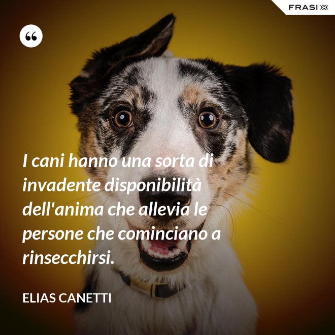 I cani hanno una sorta di invadente disponibilità dell'anima che allevia le persone che cominciano a rinsecchirsi. - Elias Canetti