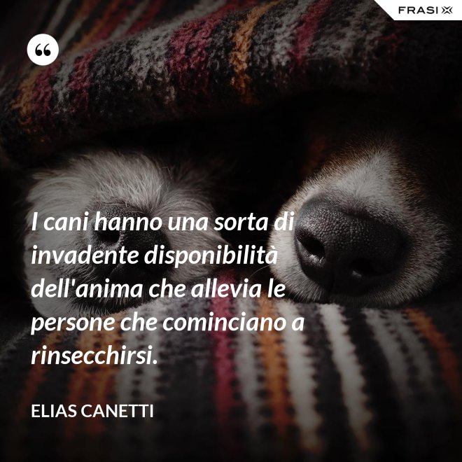 I cani hanno una sorta di invadente disponibilità dell'anima che allevia le persone che cominciano a rinsecchirsi. - Elias Canetti