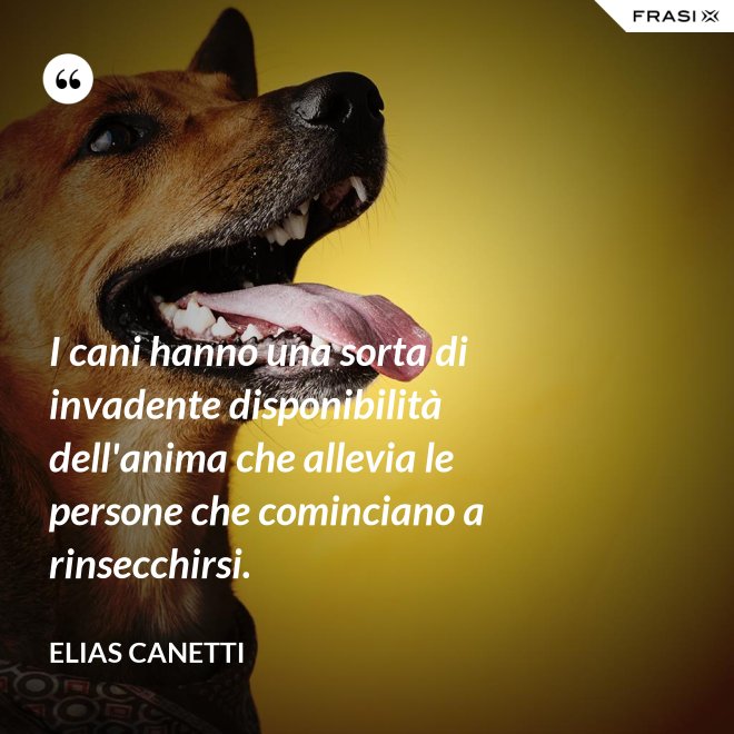 I cani hanno una sorta di invadente disponibilità dell'anima che allevia le persone che cominciano a rinsecchirsi. - Elias Canetti