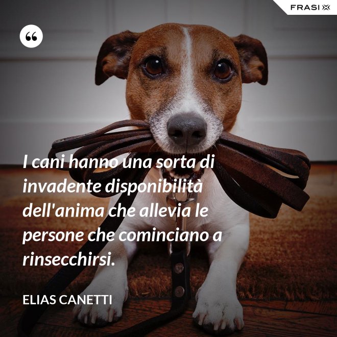I cani hanno una sorta di invadente disponibilità dell'anima che allevia le persone che cominciano a rinsecchirsi. - Elias Canetti