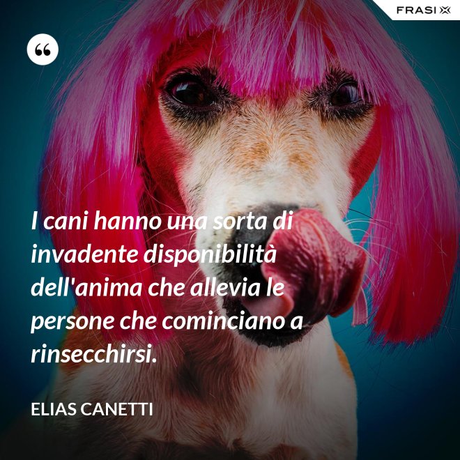 I cani hanno una sorta di invadente disponibilità dell'anima che allevia le persone che cominciano a rinsecchirsi. - Elias Canetti