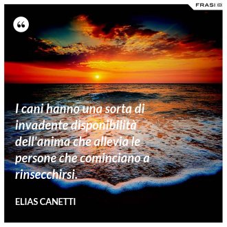 I cani hanno una sorta di invadente disponibilità dell'anima che allevia le persone che cominciano a rinsecchirsi. - Elias Canetti