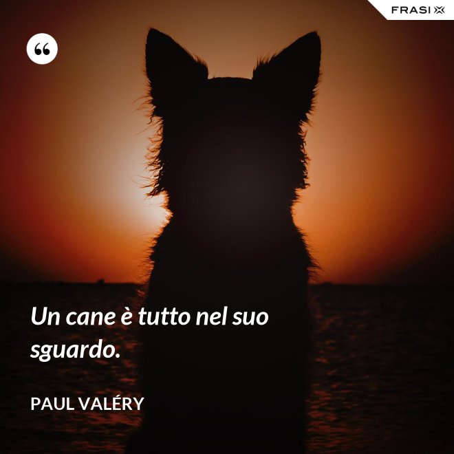 Un cane è tutto nel suo sguardo. - Paul Valéry