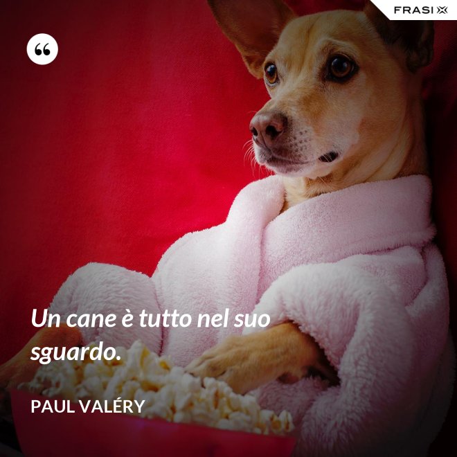 Un cane è tutto nel suo sguardo. - Paul Valéry