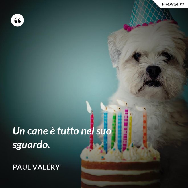 Un cane è tutto nel suo sguardo. - Paul Valéry