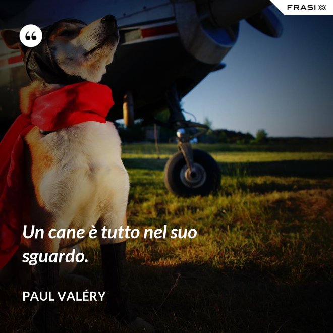 Un cane è tutto nel suo sguardo. - Paul Valéry