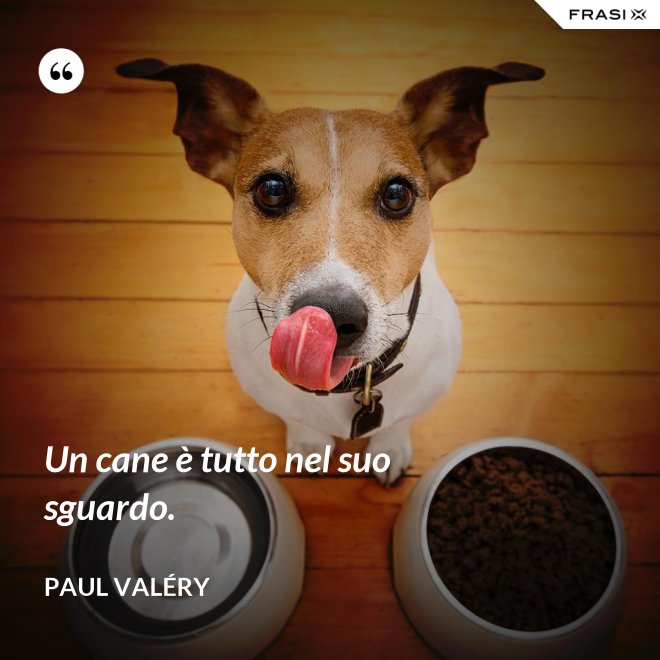Un cane è tutto nel suo sguardo. - Paul Valéry