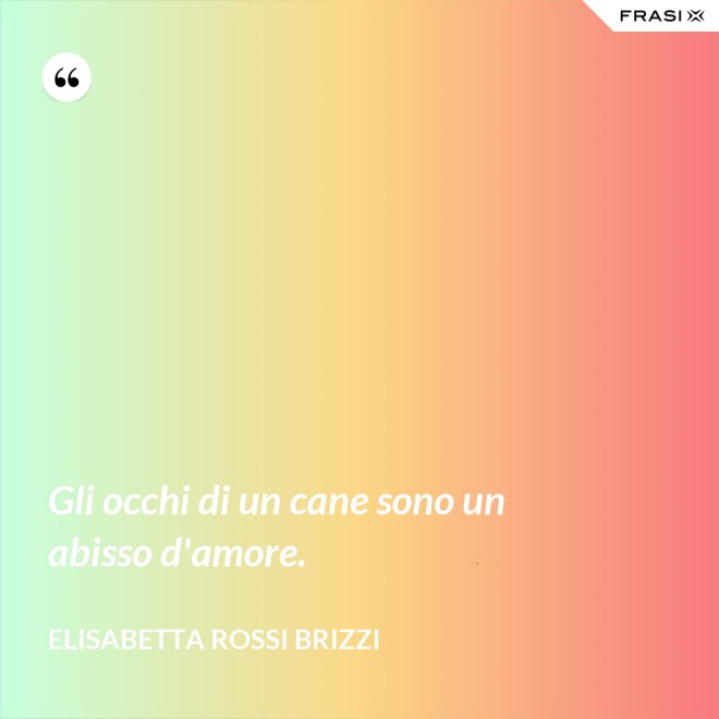 Gli occhi di un cane sono un abisso d'amore. - Elisabetta Rossi Brizzi