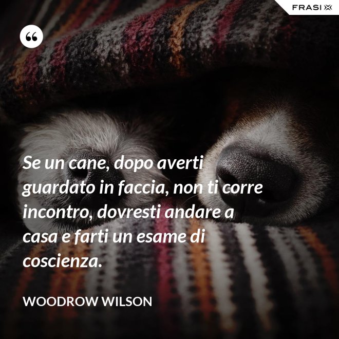 Se un cane, dopo averti guardato in faccia, non ti corre incontro, dovresti andare a casa e farti un esame di coscienza. - Woodrow Wilson