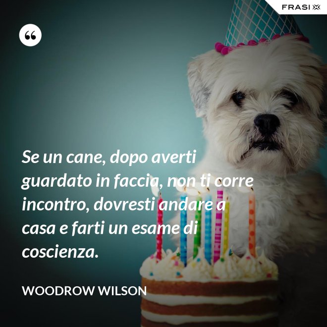 Se un cane, dopo averti guardato in faccia, non ti corre incontro, dovresti andare a casa e farti un esame di coscienza. - Woodrow Wilson