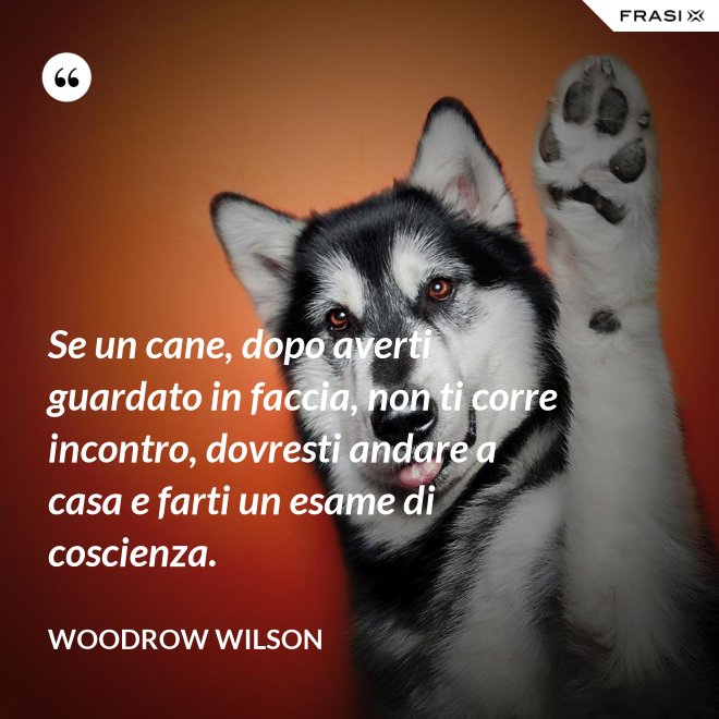 Se un cane, dopo averti guardato in faccia, non ti corre incontro, dovresti andare a casa e farti un esame di coscienza. - Woodrow Wilson