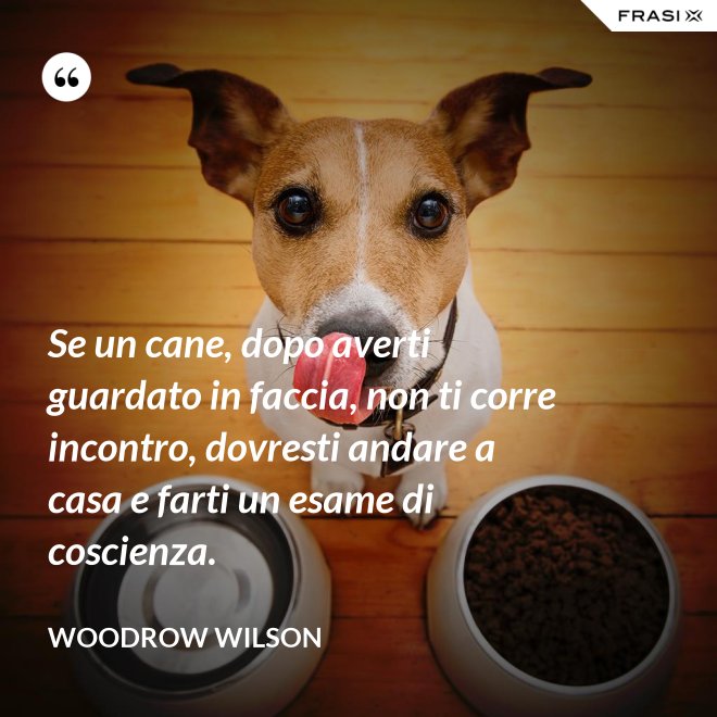 Se un cane, dopo averti guardato in faccia, non ti corre incontro, dovresti andare a casa e farti un esame di coscienza. - Woodrow Wilson