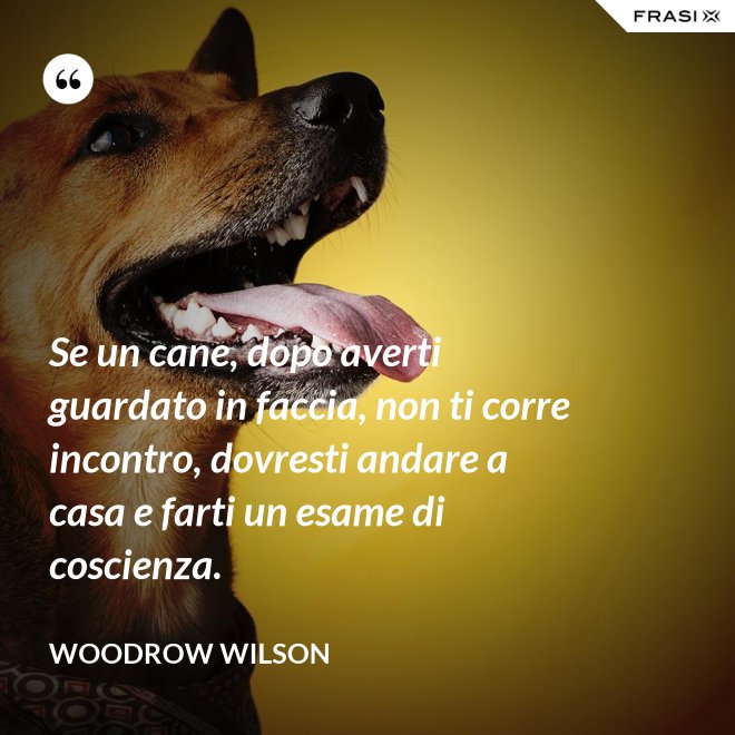 Se un cane, dopo averti guardato in faccia, non ti corre incontro, dovresti andare a casa e farti un esame di coscienza. - Woodrow Wilson