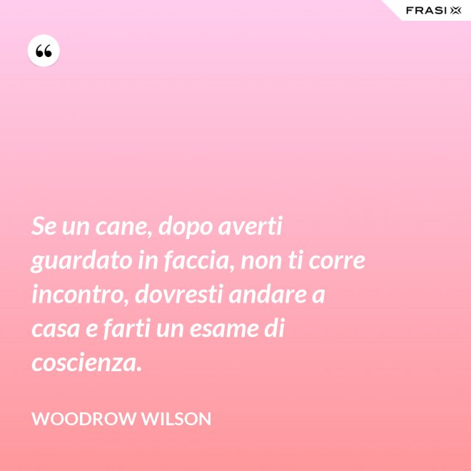 Se un cane, dopo averti guardato in faccia, non ti corre incontro, dovresti andare a casa e farti un esame di coscienza. - Woodrow Wilson