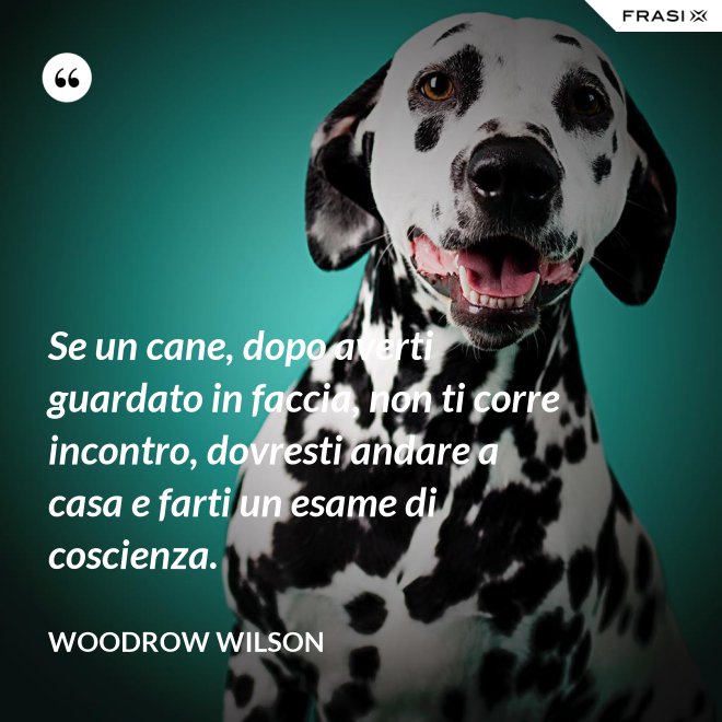 Se un cane, dopo averti guardato in faccia, non ti corre incontro, dovresti andare a casa e farti un esame di coscienza. - Woodrow Wilson