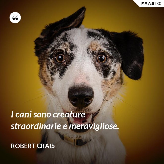 I cani sono creature straordinarie e meravigliose. - Robert Crais