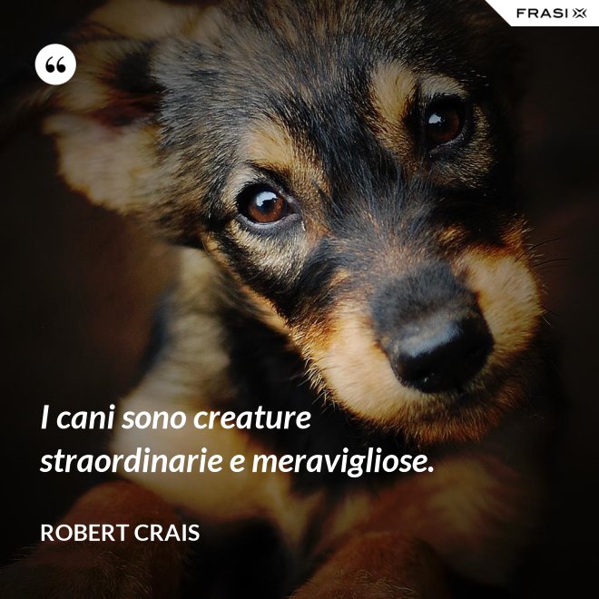 I cani sono creature straordinarie e meravigliose. - Robert Crais