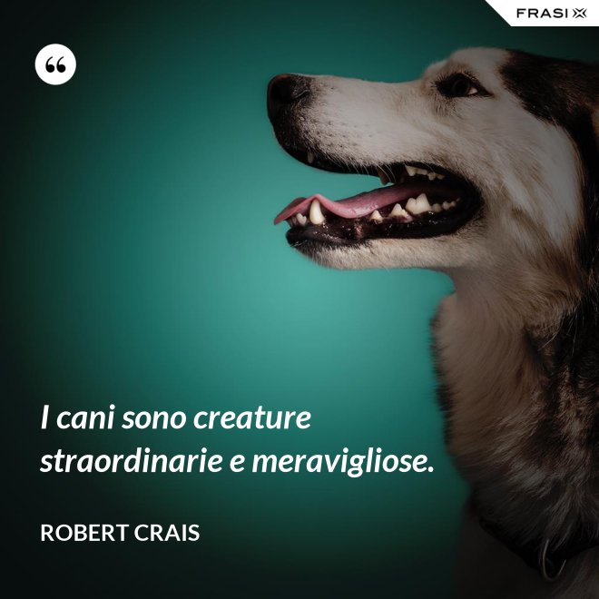 I cani sono creature straordinarie e meravigliose. - Robert Crais